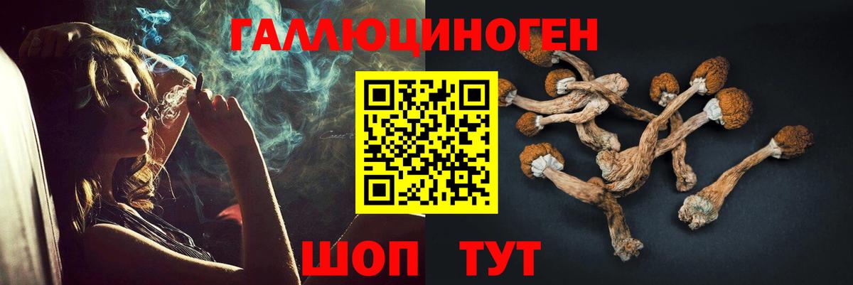 Лабытнанги  Галлюциногенные грибы Psilocybine cubensis  Вход с VPN 